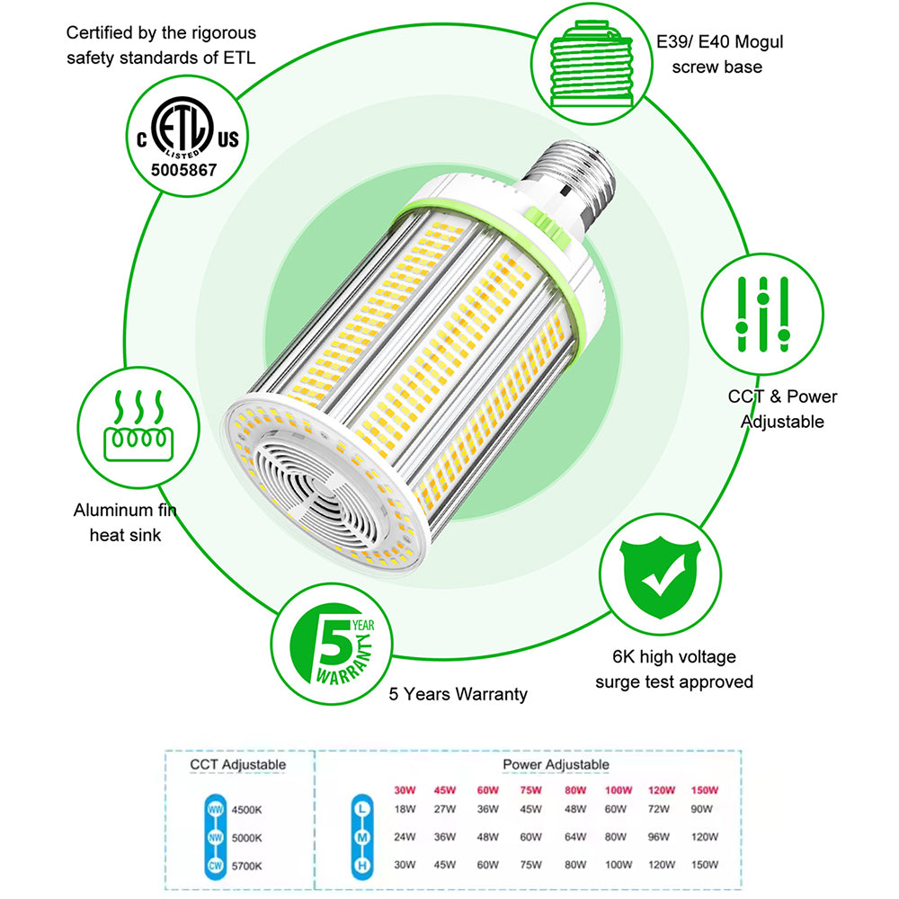 150 watt light bulb