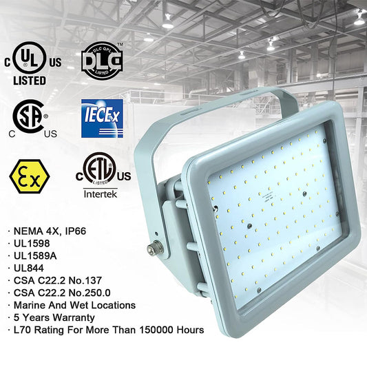 ex proof led flood light