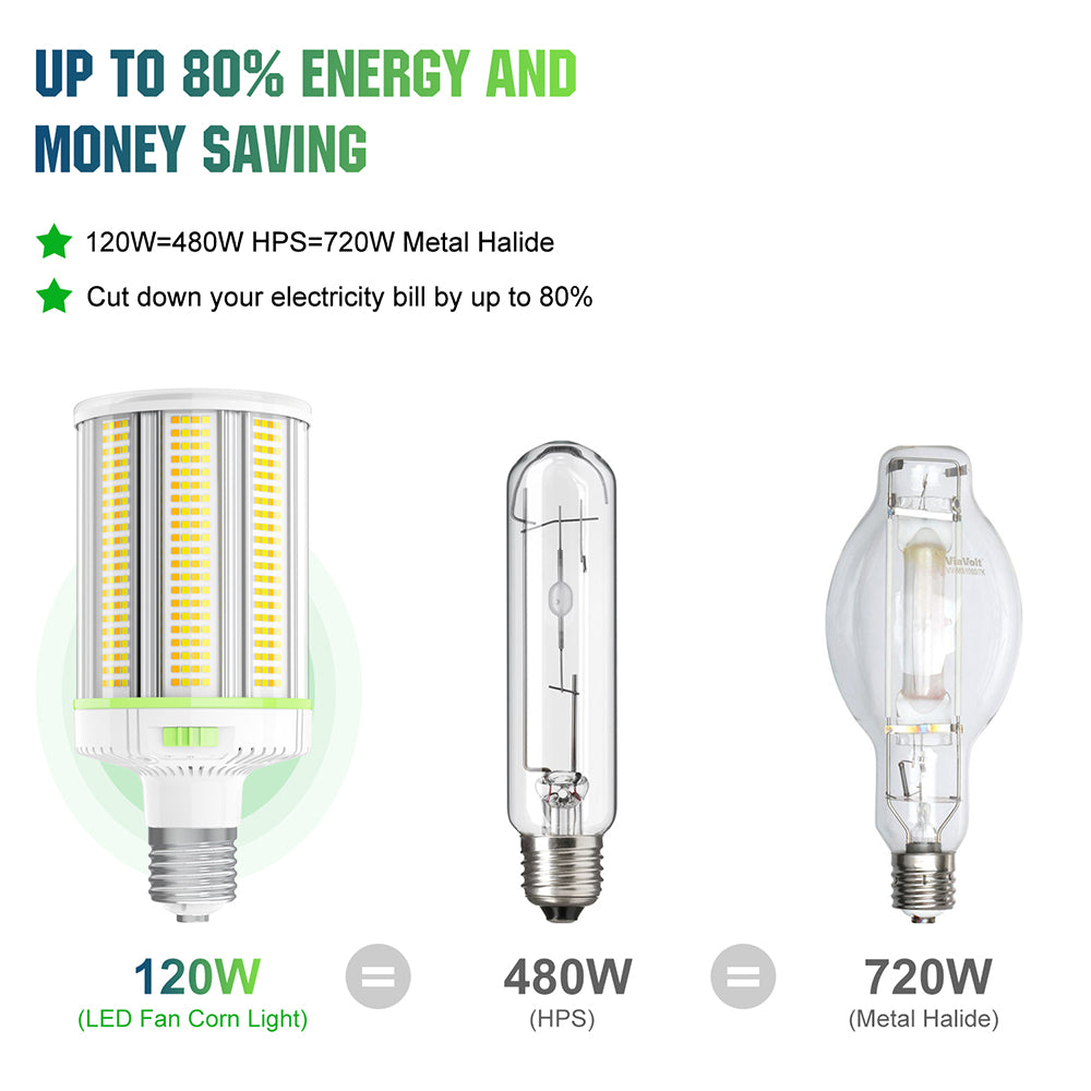 outside light bulbs
