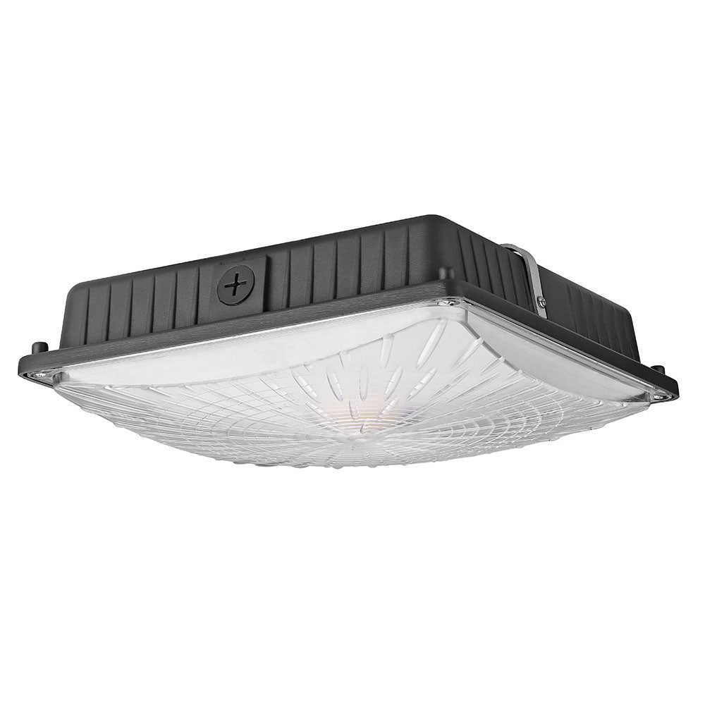 led canopy ceiling light