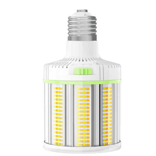 100 watt led light bulbs
