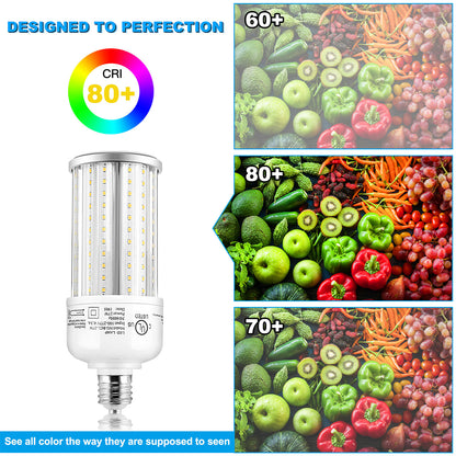 Metal Halide Replacement LED