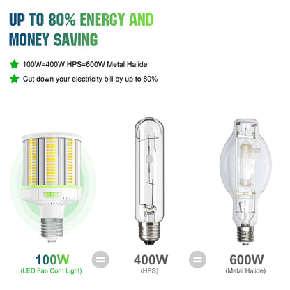 bright light bulbs indoor