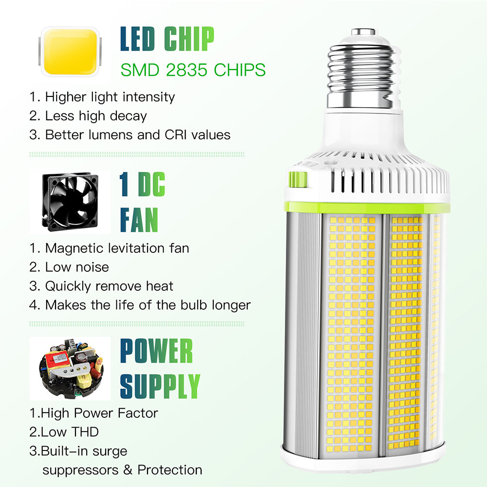 daylight light bulbs