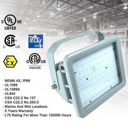 industrial explosion proof luminaire