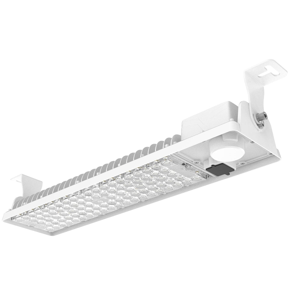 led cold storage light