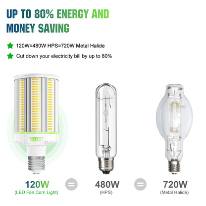 outside light bulbs