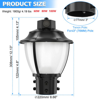 pole light