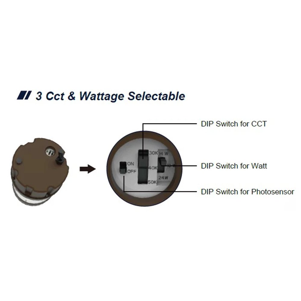 watt and color tunable yard light 