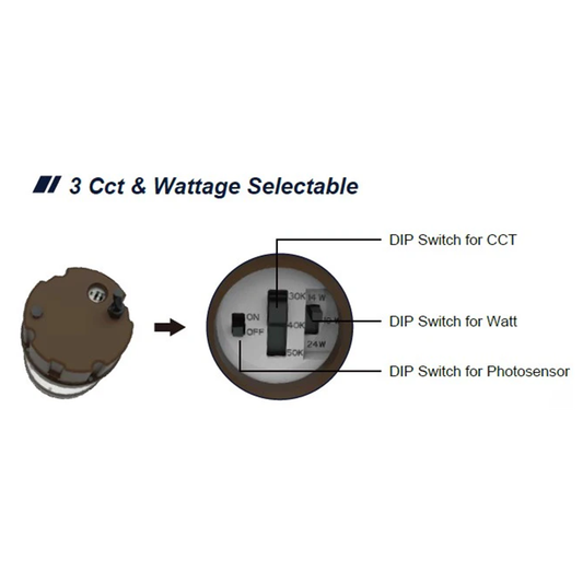 watt and color tunable yard light 